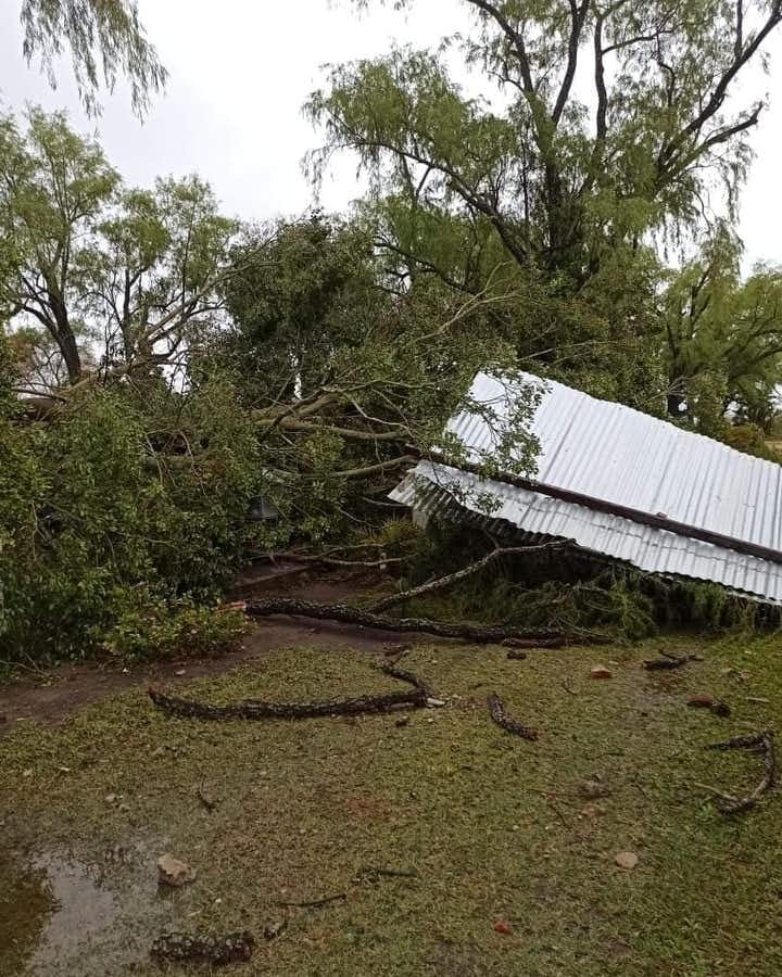 Luego del temporal, varias localidades fueron afectadas por las ráfagas de viento